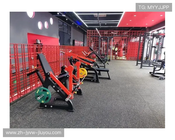 阳锐健身器材官网用户真实体验报告